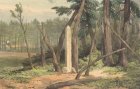 Joseph Bouchette 1817 boundary marker (4K)